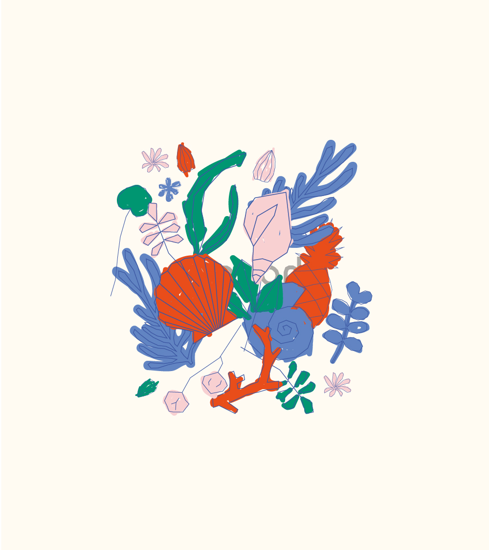 illustrations réalisée à Aix-en-Provence