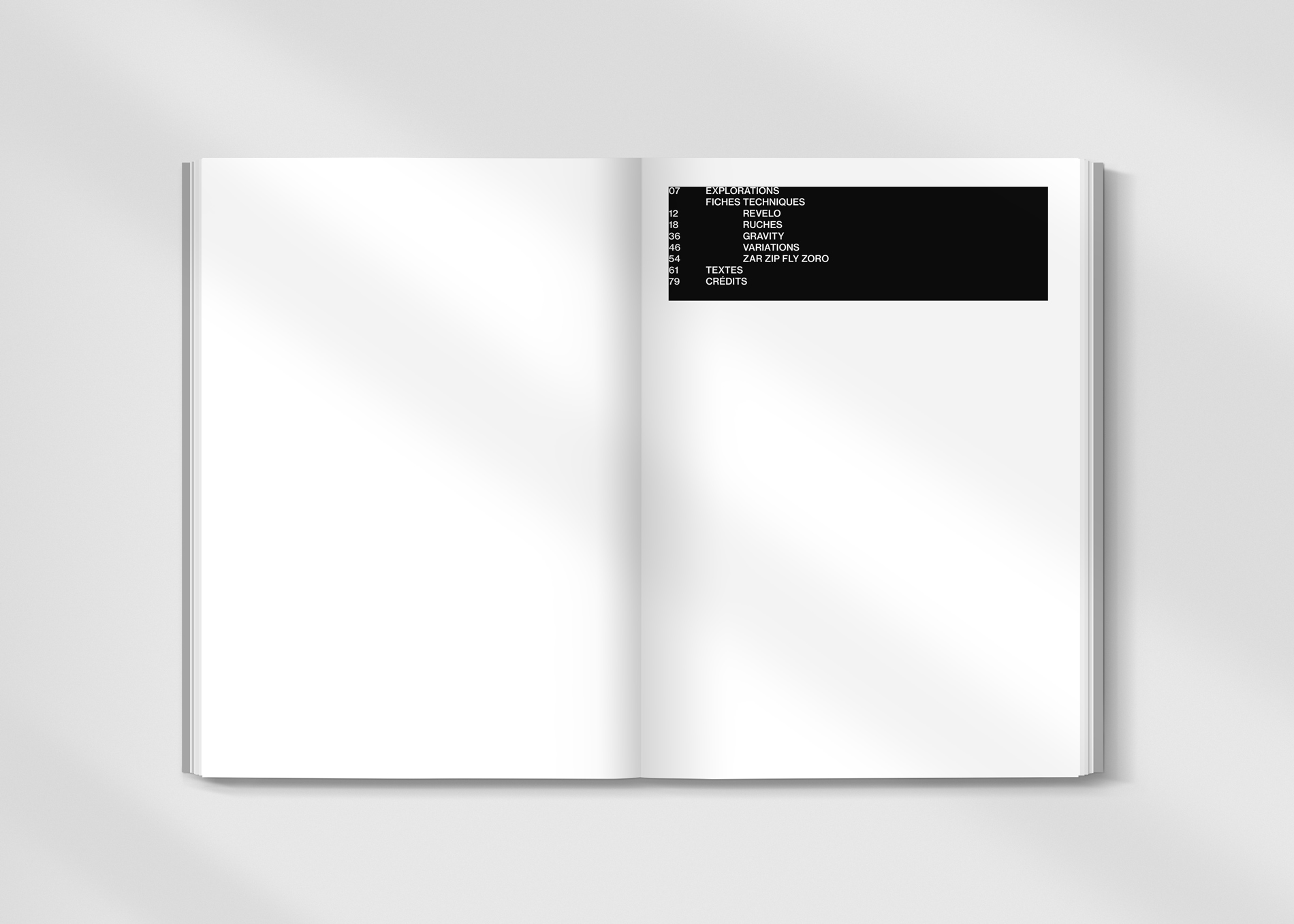 réalisation d'une édition expérimentale sur 5 livres avec Jad Hussein