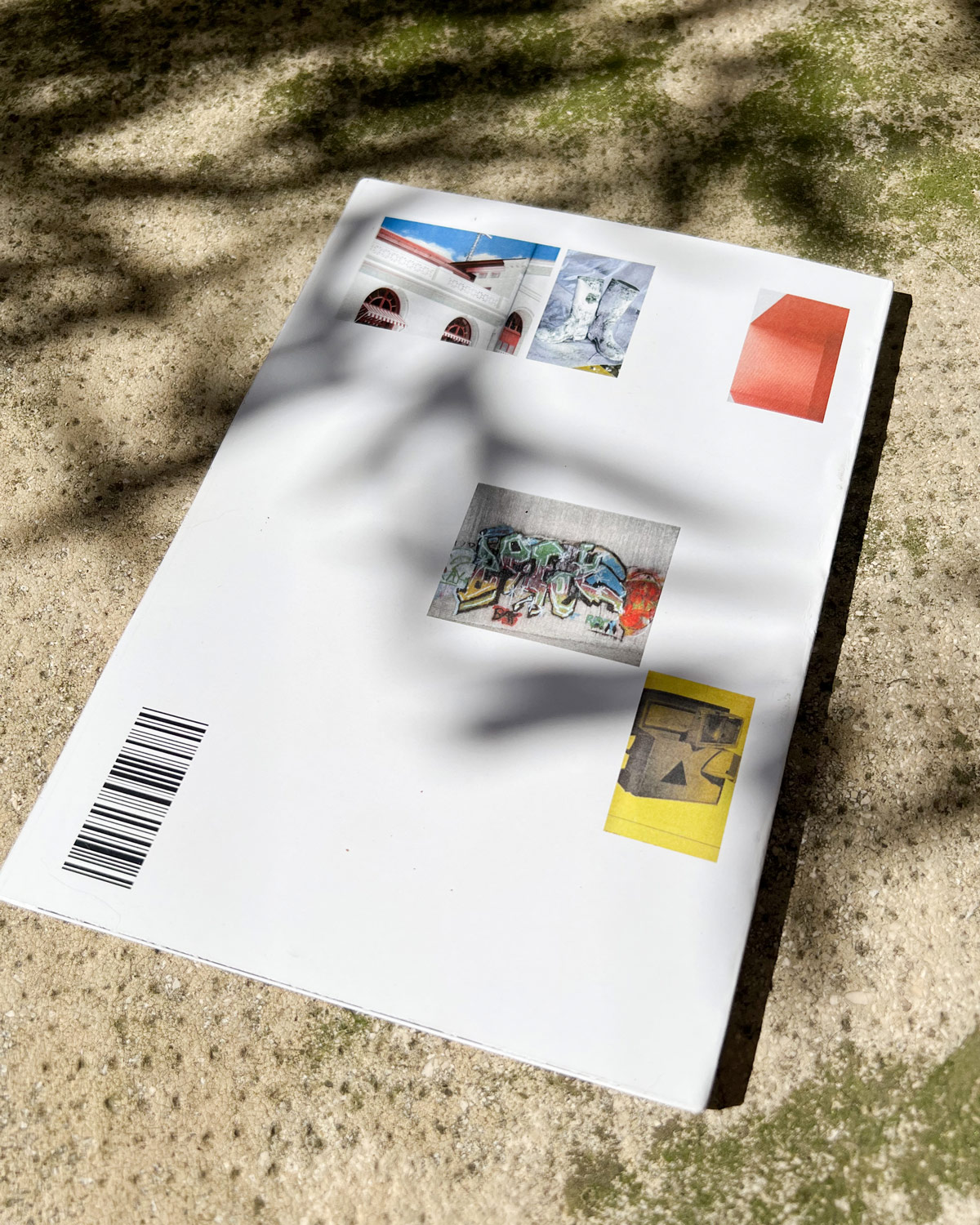 réalisation d'une édition expérimentale sur 5 livres avec Jad Hussein